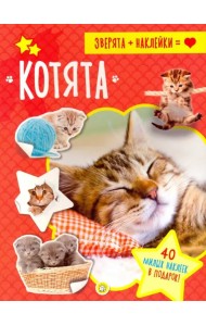 Зверята + наклейки. Котята