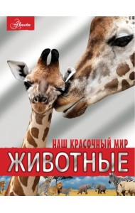 Животные