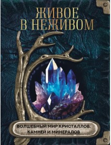 Живое в неживом. Волшебный мир кристаллов, камней и минералов