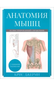 Анатомия мышц. Иллюстрированный справочник