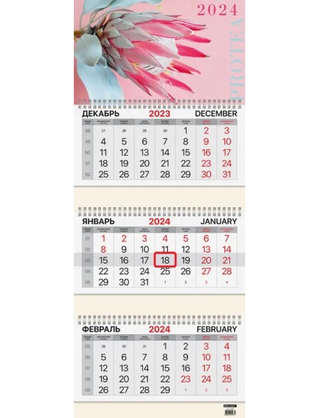 Календарь квартальный на 2024 год Protea