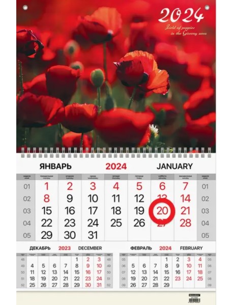 Календарь квартальный на 2024 год Маки