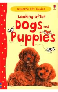 Looking after Dogs and Puppies