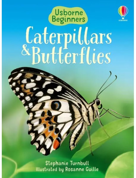 Caterpillars and Butterflies