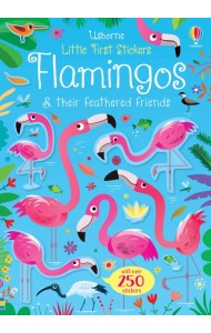 Flamingos