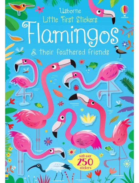 Flamingos