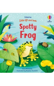 Little Lift and Look Spotty Frog