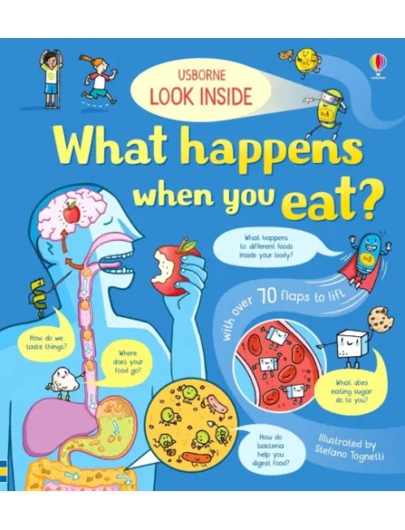 Look Inside What Happens When You Eat