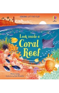 Look inside a Coral Reef