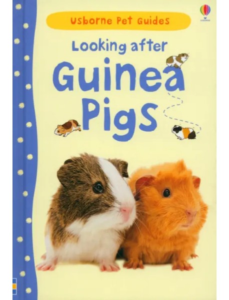 Looking after Guinea Pigs