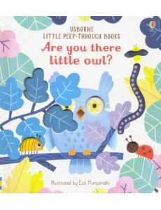 Are You There Little Owl?