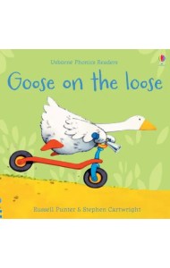 Goose on the Loose