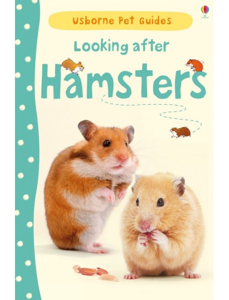 Looking after Hamsters