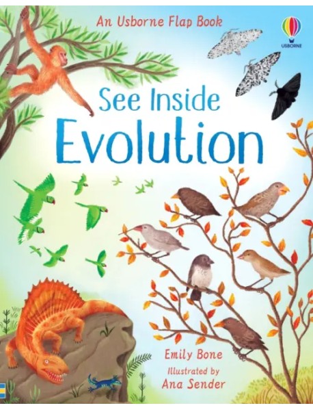 See Inside Evolution