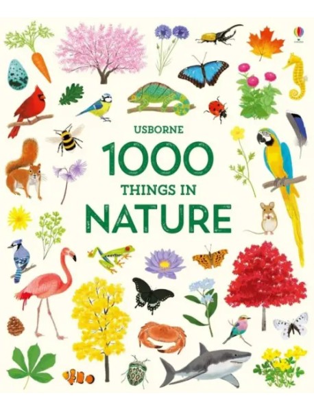 1000 Things in Nature (1000 Pictures)