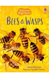 Bees and Wasps