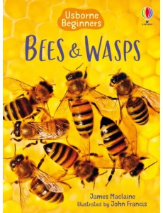 Bees and Wasps