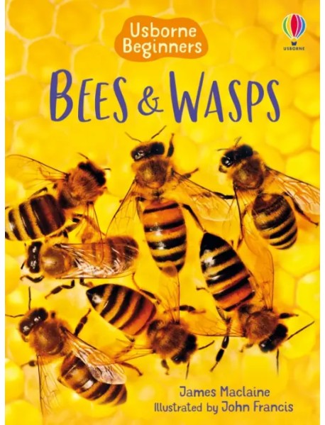 Bees and Wasps