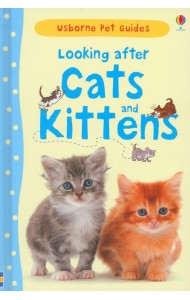 Looking after Cats and Kittens