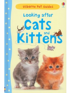Looking after Cats and Kittens