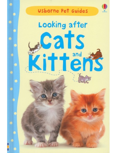 Looking after Cats and Kittens