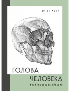 Голова человека. Академический рисунок