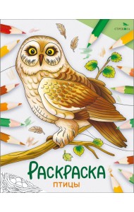 Окружающий мир. Раскраска. Птицы