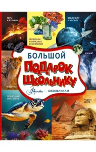 Большой подарок школьнику