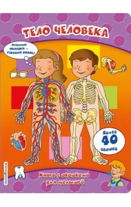 Тело человека. Книга с окошками