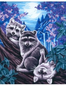 Картина по номерам на холсте Еноты под луной Картина по номерам на холсте Еноты под луной