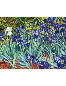 Картина по номерам на холсте Ирисы. Винсент ван Гог Картина по номерам на холсте Ирисы. Винсент ван Гог