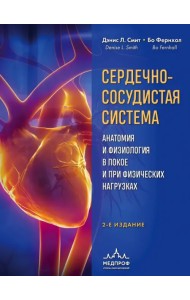 Сердечно-сосудистая система. Анатомия и физиология в покое и при физических нагрузках