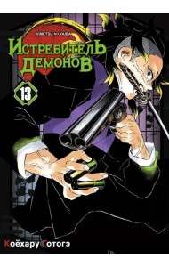 Истребитель демонов. Том 13. Перемены