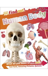 Human Body