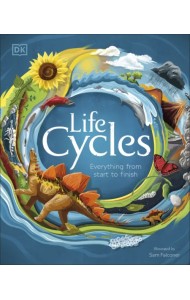 Life Cycles. Everything from Start to Finish