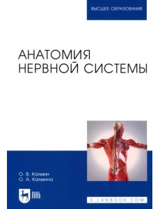 Анатомия нервной системы. Учебное пособие для вузов