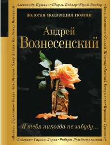 Я тебя никогда не забуду... Я тебя никогда не забуду...