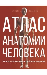Атлас анатомии человека. Русско-латинско-английское издание