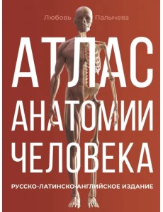Атлас анатомии человека. Русско-латинско-английское издание