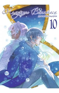 Мемуары Ванитаса. Том 10