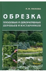 Обрезка плодовых и декоративных деревьев и кустарников