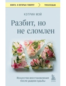 Разбит, но не сломлен. Искусство восстановления после ударов судьбы