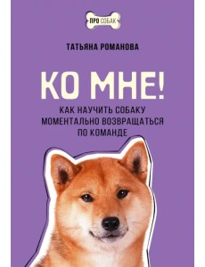 Ко мне! Как научить собаку моментально возвращаться по команде Ко мне! Как научить собаку моментально возвращаться по команде