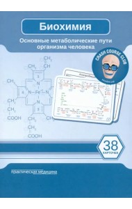 Биохимия. Карточки. Основные метаболические пути организма человека. 38 карточек