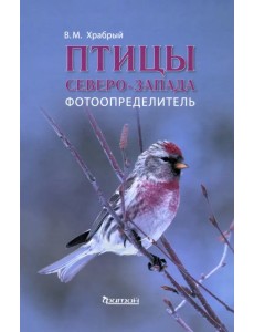 Птицы Северо - Запада. Фотоопределитель