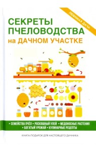 Секреты пчеловодства на дачном участке