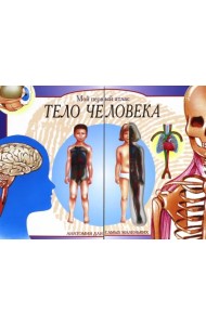 Тело человека. Мой первый атлас
