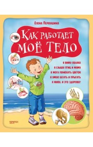 Как работает мое тело