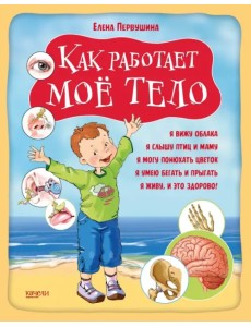 Как работает мое тело Как работает мое тело
