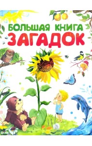 Большая книга загадок